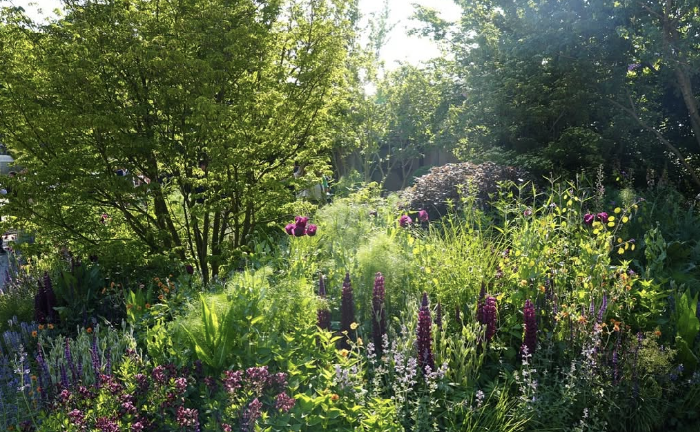 Reset Your Circadian Rhythm with a Nature Walk