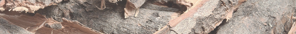 Close-up of a Willow-bark-extract