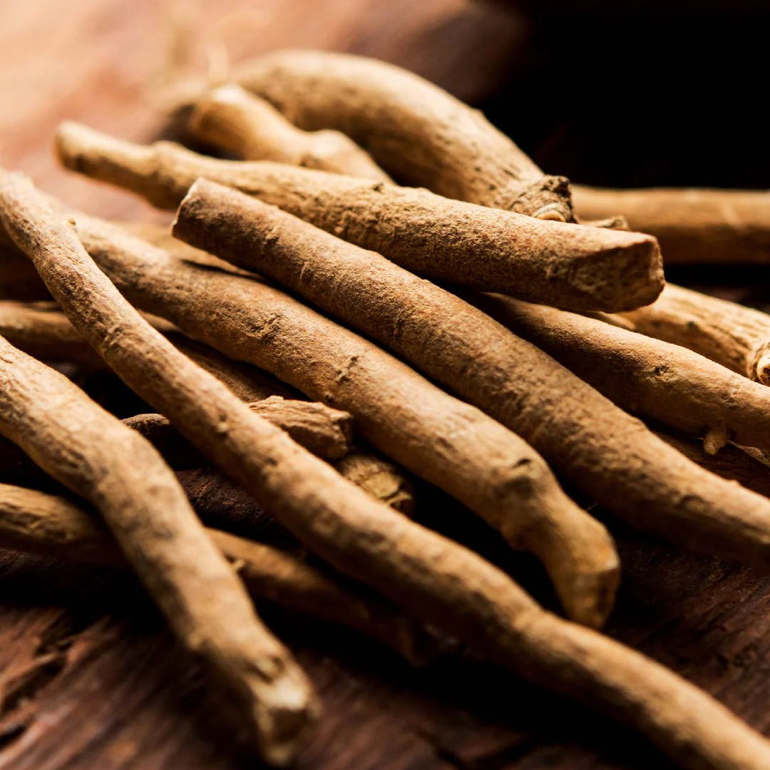 Close-up of Ashwaganda roots on a wooden surface