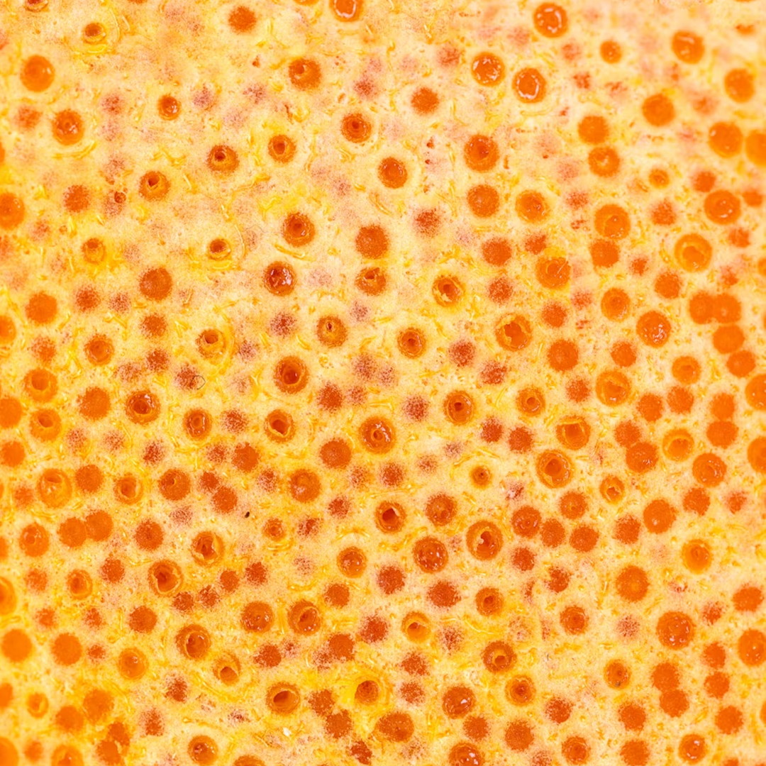 Image of Vitamin C cells