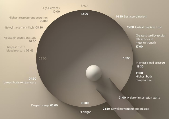 Everything You Need to Know About Circadian Rhythm