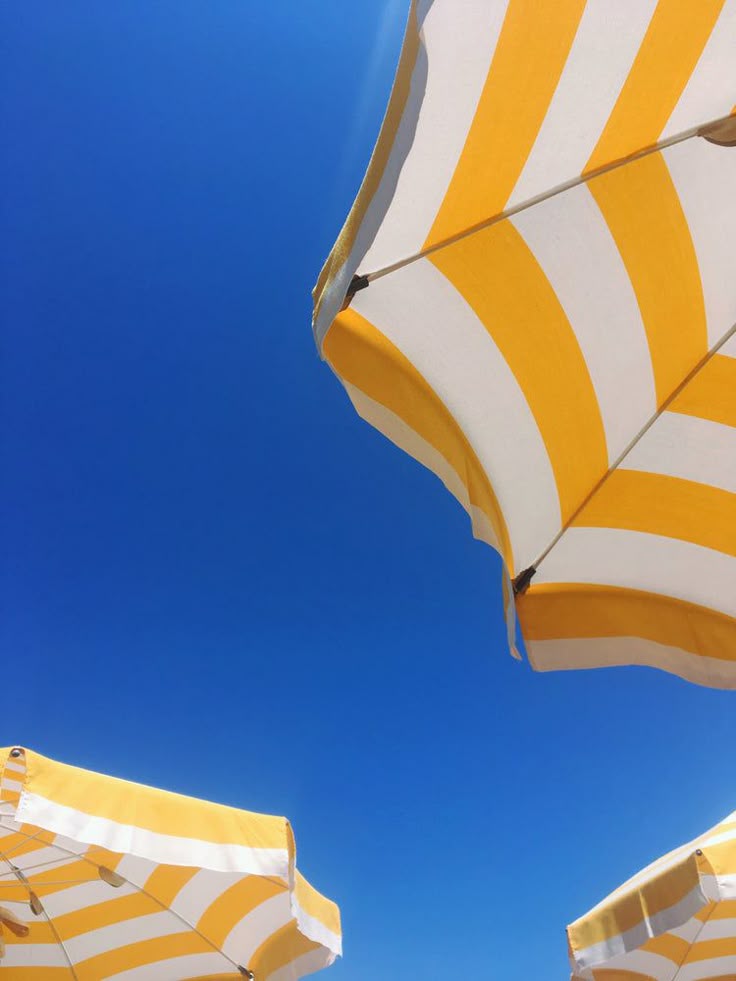 Vitamin D and Bone Strength: What Every Woman Over 35 Should Know