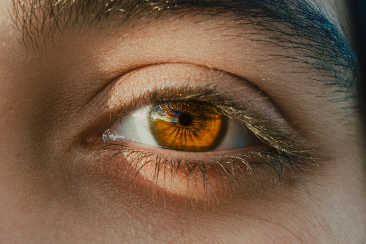 Close-up image of brown eye