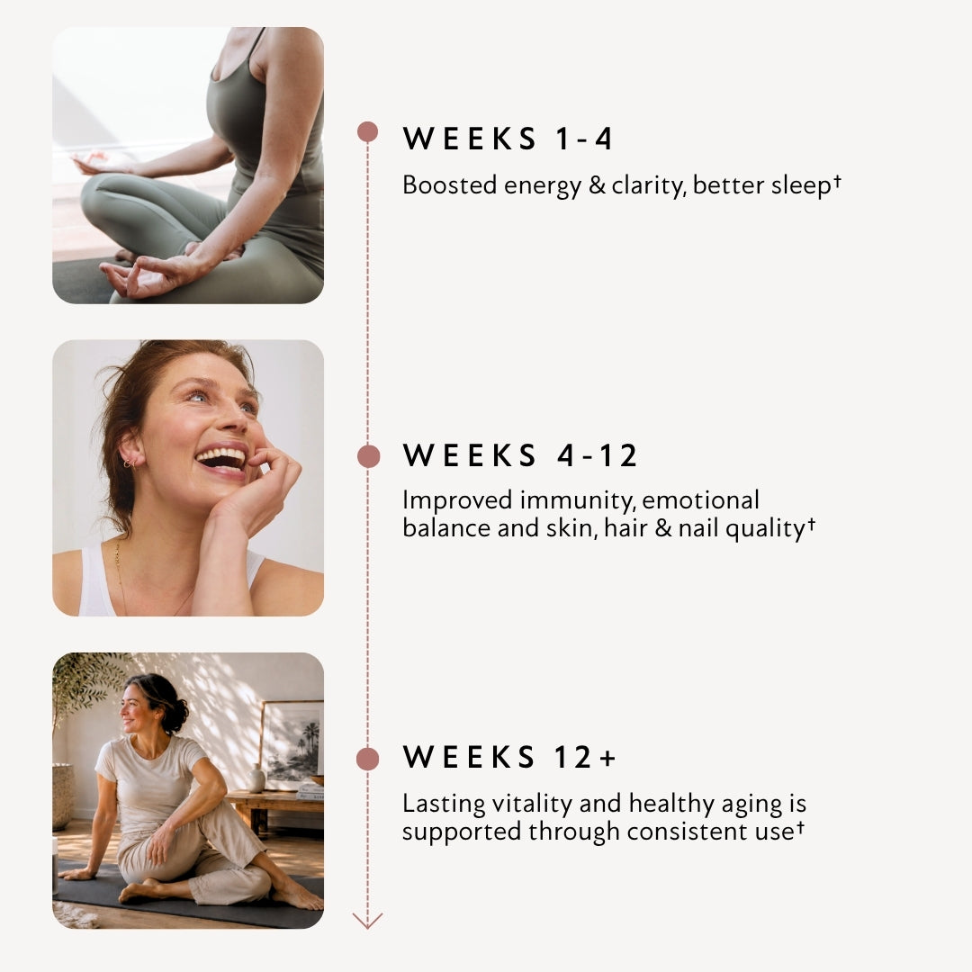 Vertical timeline WEEKS 1–4, 4–12, 12+ with photos of meditating, smiling and relaxed people illustrating wellness changes